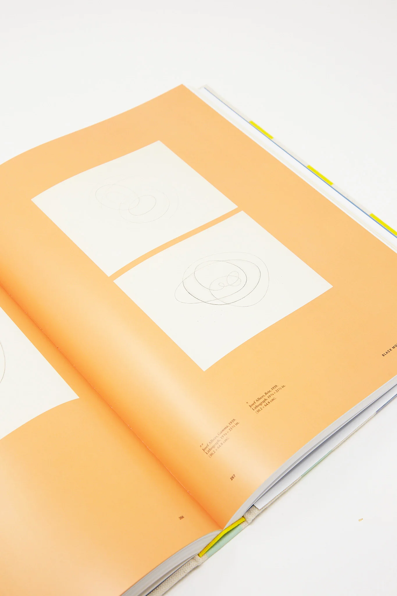Anni & Josef Albers: Equal and Unequal - Image 4