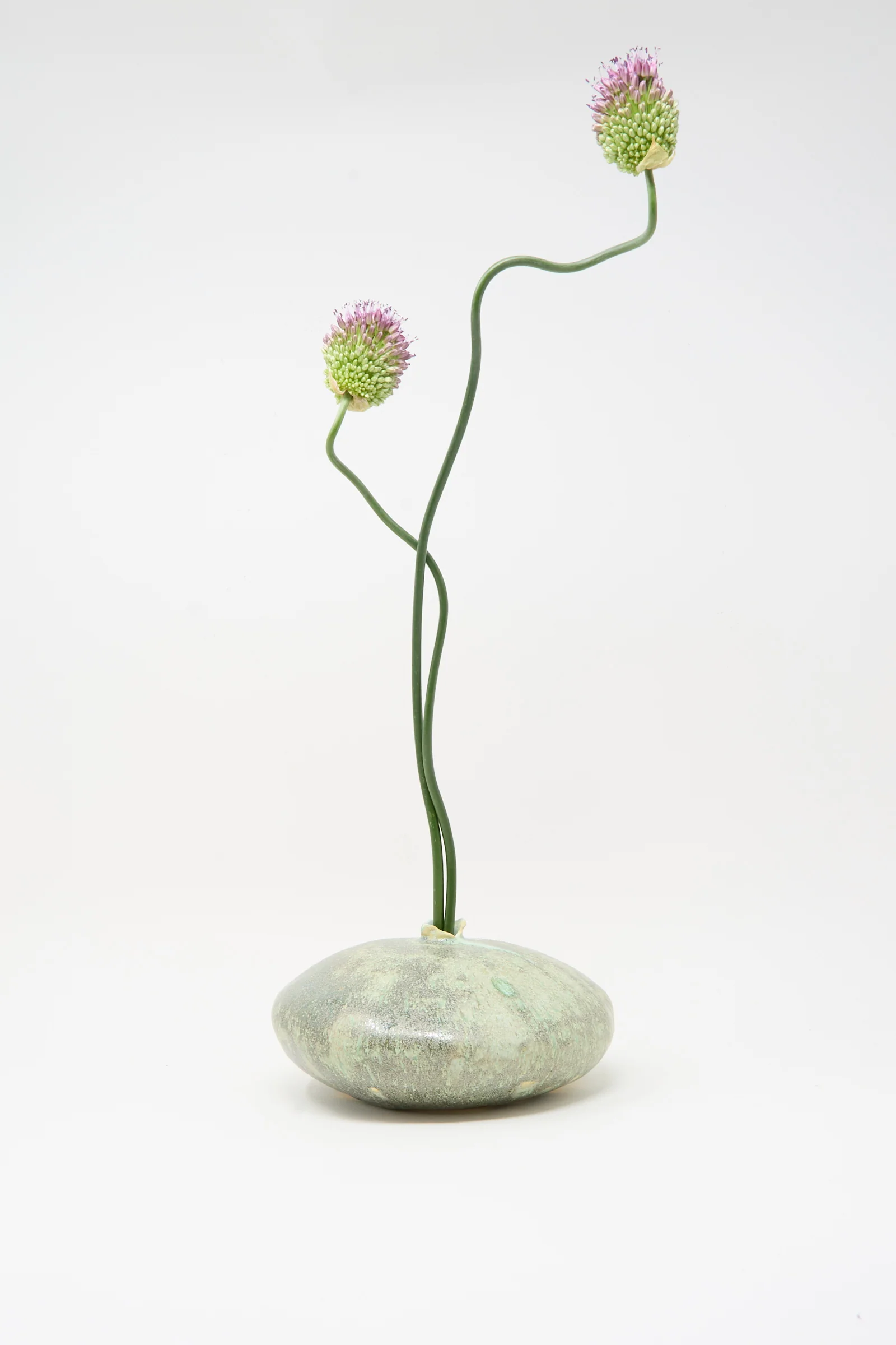 Doyle Vase in Lichen